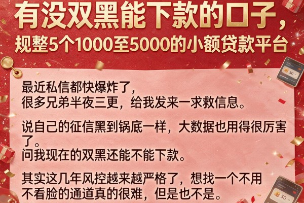 有没双黑能下款的口子，规整5个1000至5000的小额贷款平台