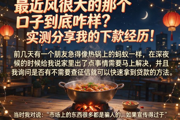 最近风很大的那个口子到底咋样？实测分享我的下款经历！