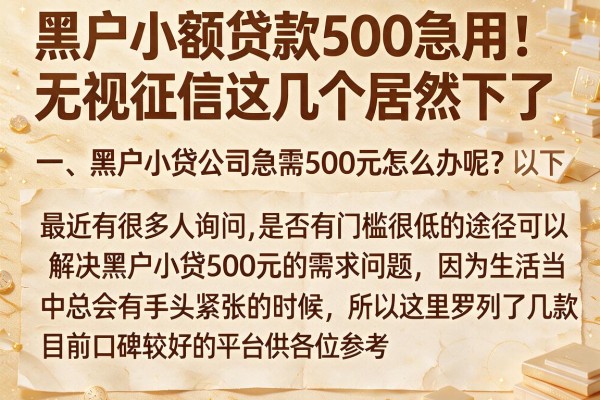 黑户小额贷款500急用：无视征信这几个居然下了