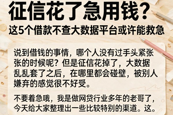 征信花了急用钱？这5个借款不查大数据平台或许能救急