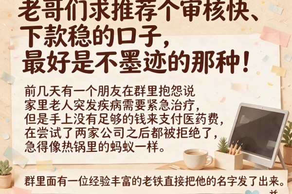 老哥们求推荐个审核快、下款稳的口子，最好是不墨迹的那种！
