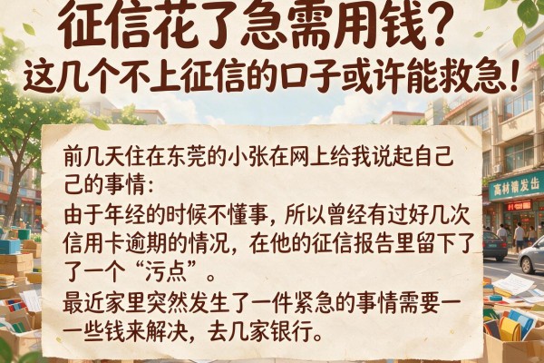 征信花了急需用钱？这几个不上征信的口子或许能救急！