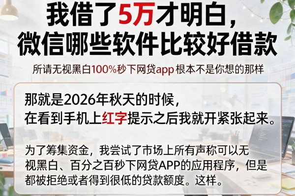 我借了5万才明白，微信哪些软件比较好借款，所谓无视黑白100%秒下网贷app根本不是你想的那样