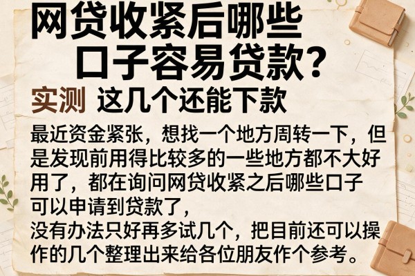 网贷收紧后哪些口子容易贷款？实测这几个还能下款