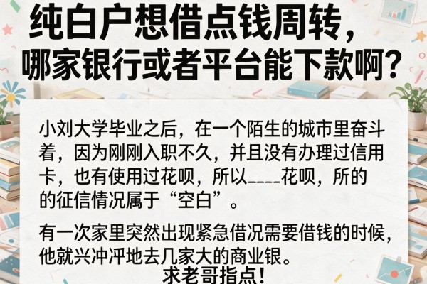 纯白户想借点钱周转，哪家银行或者平台能下款啊？求老哥指点！