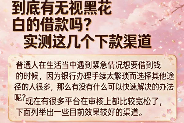 到底有无视黑花白的借款吗？实测这几个下款渠道