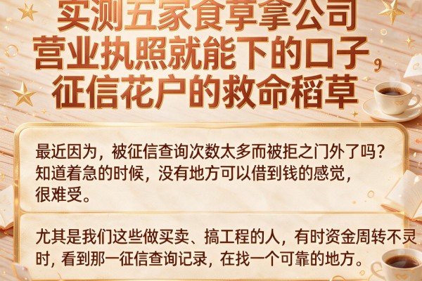 实测五家拿公司营业执照就能下的口子，征信花户的救命稻草